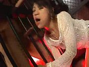 Firm Comic Cock Sucking Asian Doing it Through the Bars