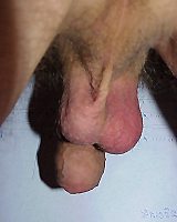 Bisexual And Gay Male Cocks In Homemade Photos Fantasize About Hard Fucking With