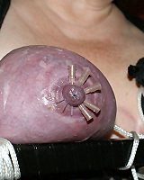 Bondage Tits Torture Puffy Pink Nipples