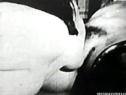 Vintage Lesbian Spreading Pussy Eating Porn Film Has Such A Hairy Pussy Being Licked By An Eager Girl That Wa